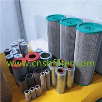 Udskift EATON-filterelement 01.NR1000.6VG.10.B.P