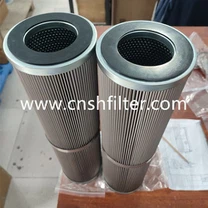 Turbineoliestation RB010DV500A25-01-IQC Duplex Filter Element